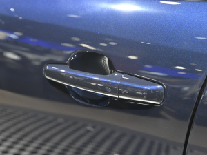 2022P250 HSE  (x)(ji)^