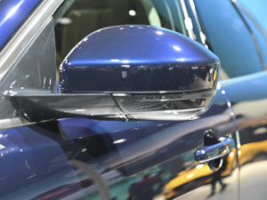 2022P250 HSE  (x)(ji)^