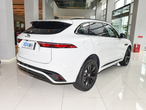 2022P250 R-Dynamic BLACK Һ45