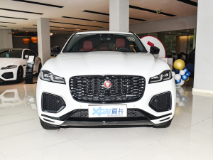 2022P250 R-Dynamic BLACK ǰ