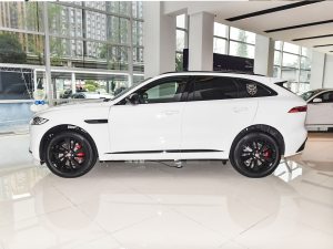 2022P250 R-Dynamic BLACK ȣ