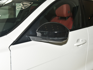 2022P250 R-Dynamic BLACK ҕR