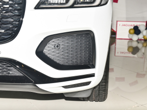 2022P250 R-Dynamic BLACK ^