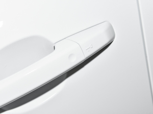 2022P250 R-Dynamic BLACK (x)(ji)^