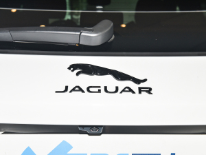 2022P250 R-Dynamic BLACK (x)(ji)^