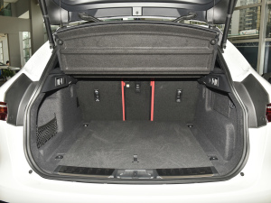 2022P250 R-Dynamic BLACK g