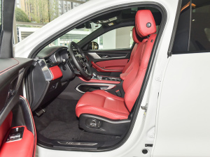 2022P250 R-Dynamic BLACK ǰſg