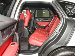 2022P250 R-Dynamic BLACK ſg