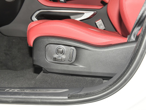 2022P250 R-Dynamic BLACK {{(dio)(ji)