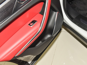 2022P250 R-Dynamic BLACK Tg