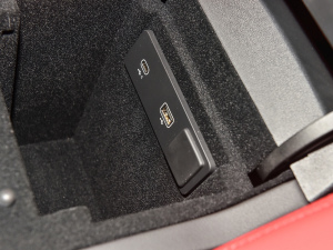 2022P250 R-Dynamic BLACK g