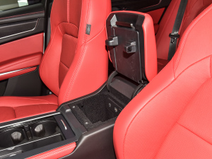 2022P250 R-Dynamic BLACK g