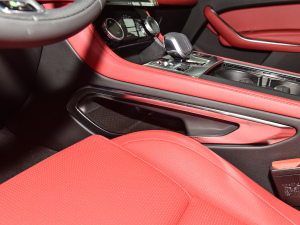 2022P250 R-Dynamic BLACK g