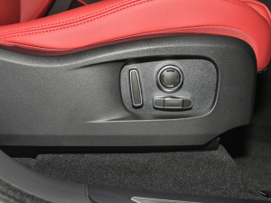 2022P250 R-Dynamic BLACK g