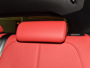 2022P250 R-Dynamic BLACK g