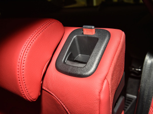 2022P250 R-Dynamic BLACK g