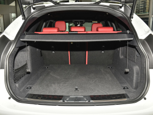 2022P250 R-Dynamic BLACK g