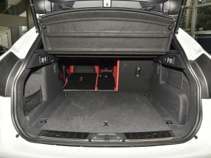 2022P250 R-Dynamic BLACK g