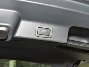 2022P250 R-Dynamic BLACK g