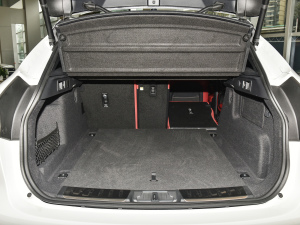 2022P250 R-Dynamic BLACK g