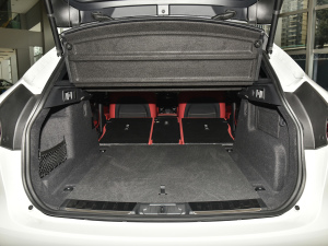 2022P250 R-Dynamic BLACK g