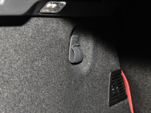 2022P250 R-Dynamic BLACK g