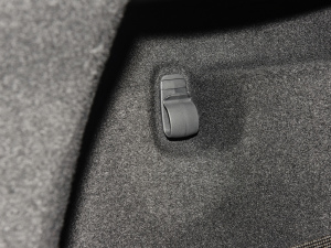 2022P250 R-Dynamic BLACK g