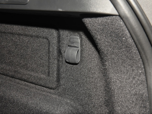 2022P250 R-Dynamic BLACK g