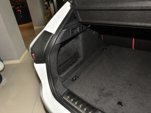 2022P250 R-Dynamic BLACK g