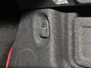 2022P250 R-Dynamic BLACK g