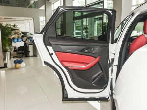 2022P250 R-Dynamic BLACK ܇T(mn)