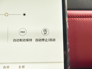 2022P250 R-Dynamic BLACK п؅^