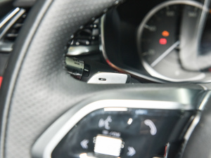 2022P250 R-Dynamic BLACK п؅^