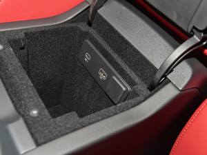 2022P250 R-Dynamic BLACK п؅^