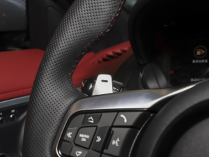 2023P300 R-Dynamic Black Ӳ픰 п؅^