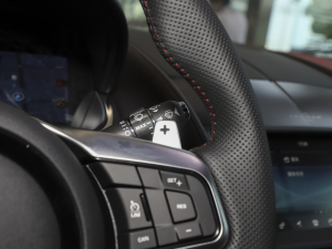 2023P300 R-Dynamic Black Ӳ픰 п؅^