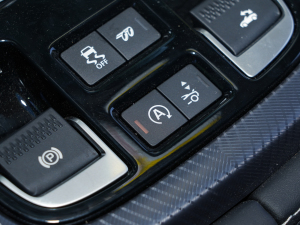 2023P300 R-Dynamic Black  п؅^