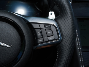 2023P300 R-Dynamic Black  п؅^(q)