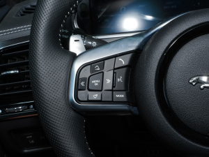 2023P300 R-Dynamic Black  п؅^(q)