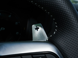 2023P300 R-Dynamic Black  п؅^(q)