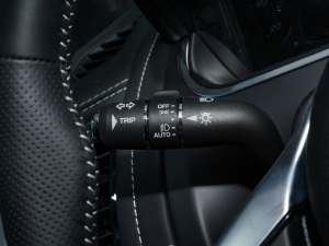 2023P300 R-Dynamic Black  п؅^(q)