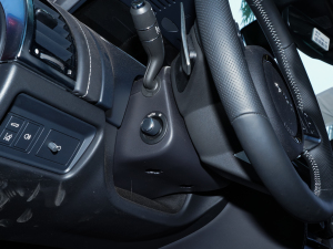 2023P300 R-Dynamic Black  п؅^(q)