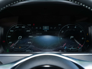 2023P300 R-Dynamic Black  п؅^(q)