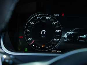 2023P300 R-Dynamic Black  п؅^(q)