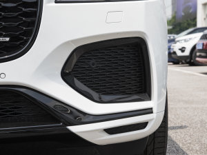 2023P250 R-Dynamic BLACK (x)(ji)^