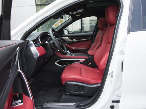 2023P250 R-Dynamic BLACK ǰſg