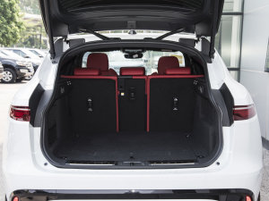 2023P250 R-Dynamic BLACK g