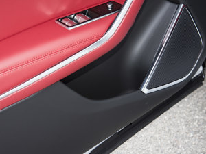 2023P250 R-Dynamic BLACK ǰTg