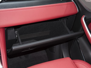 2023P250 R-Dynamic BLACK 