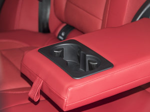 2023P250 R-Dynamic BLACK ֹ